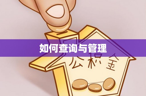 沾益如何查询与管理