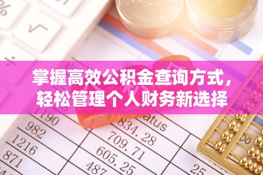 沾益掌握高效公积金查询方式，轻松管理个人财务新选择