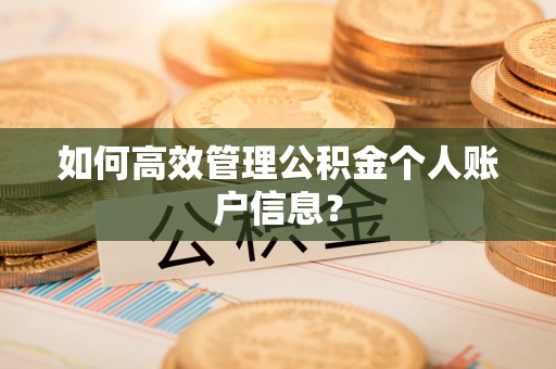 沾益如何高效管理公积金个人账户信息？