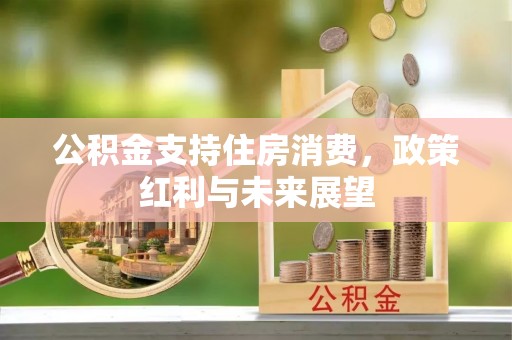 沾益公积金支持住房消费，政策红利与未来展望