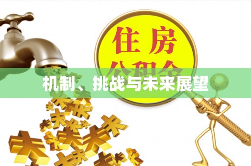 沾益机制、挑战与未来展望